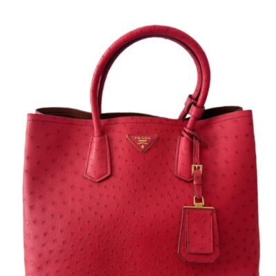 Prada Ostrich Double Tote