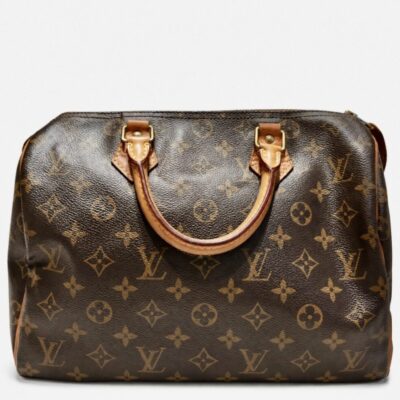 Louis Vuitton Speedy leather handbag (Copy)