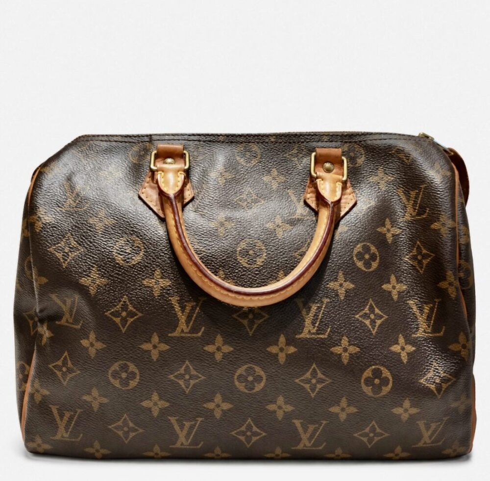 Louis Vuitton Speedy leather handbag (Copy)