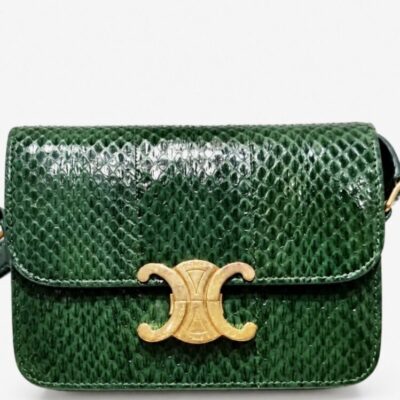 Celine Watersnake Teen Triomphe Green