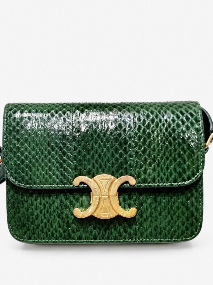 Celine Watersnake Teen Triomphe Green