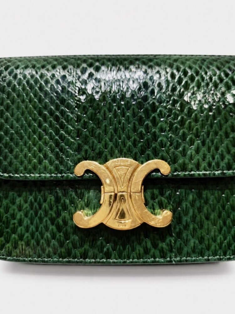 Celine Watersnake Teen Triomphe Green - Image 2