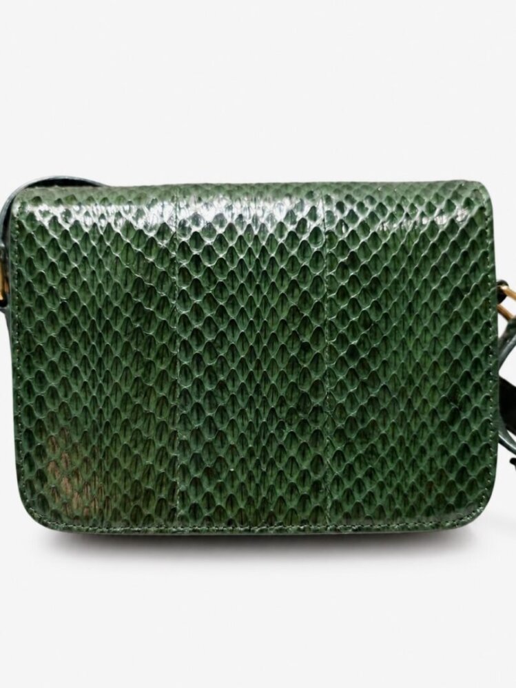 Celine Watersnake Teen Triomphe Green - Image 4