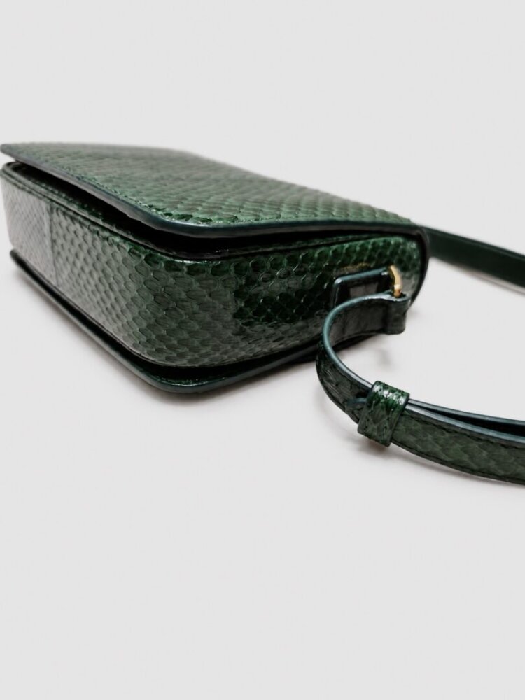Celine Watersnake Teen Triomphe Green - Image 5