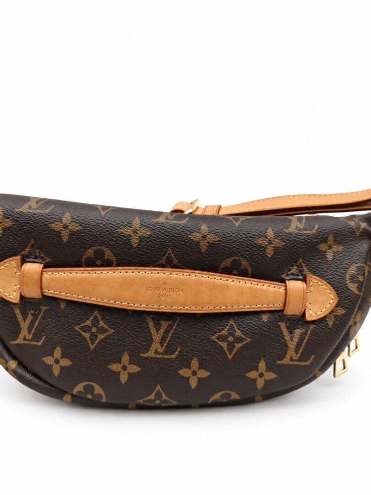 Louis Vuitton Monogram Bumbag - Image 3