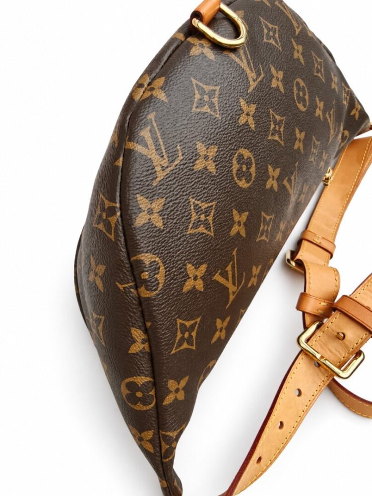 Louis Vuitton Monogram Bumbag - Image 4