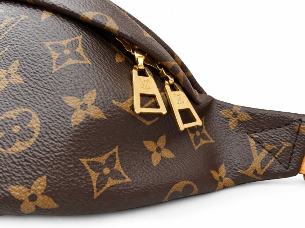 Louis Vuitton Monogram Bumbag - Image 5