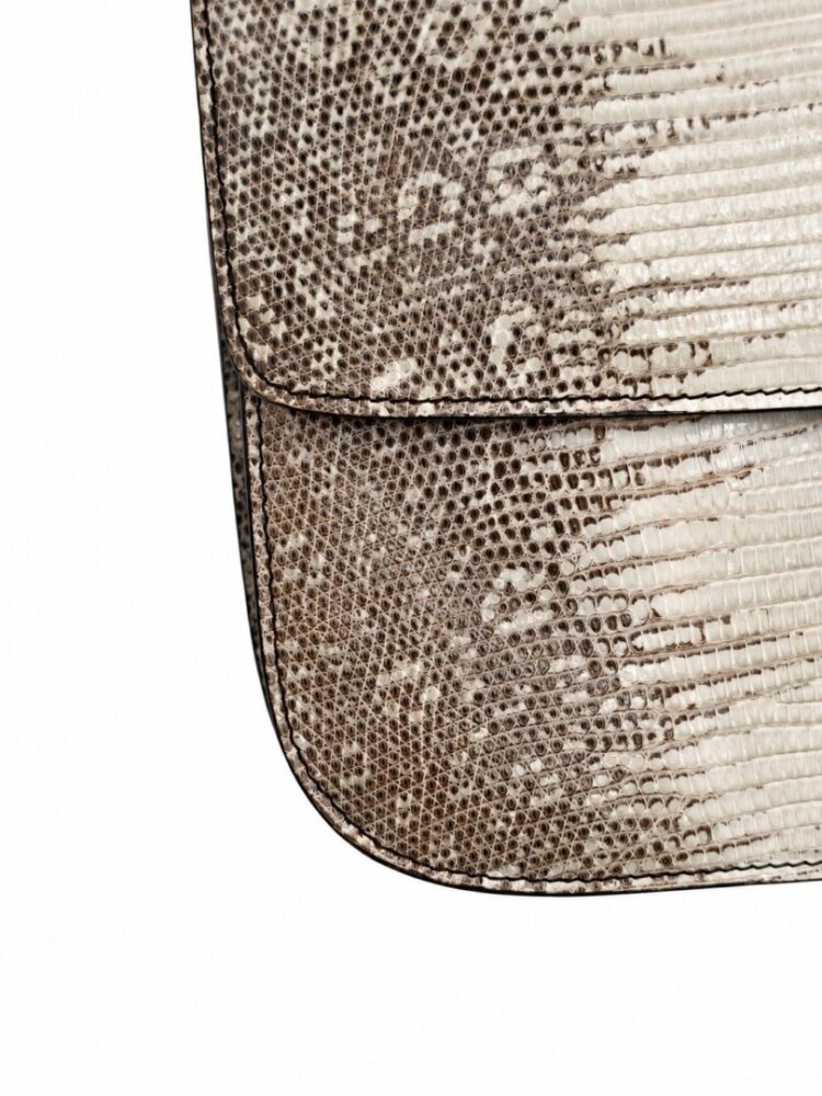Celine Lizard Medium Classic Box Flap Bag Mineral - Image 7